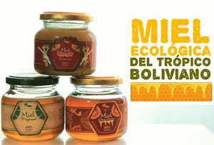 MIEL DE ABEJAS EL ALIMENTO DE ORO