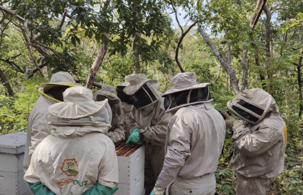 Apicultura ecológica: impulsan el desarrollo sostenible y cambia la vida de jóvenes en Porongo y Lomerío