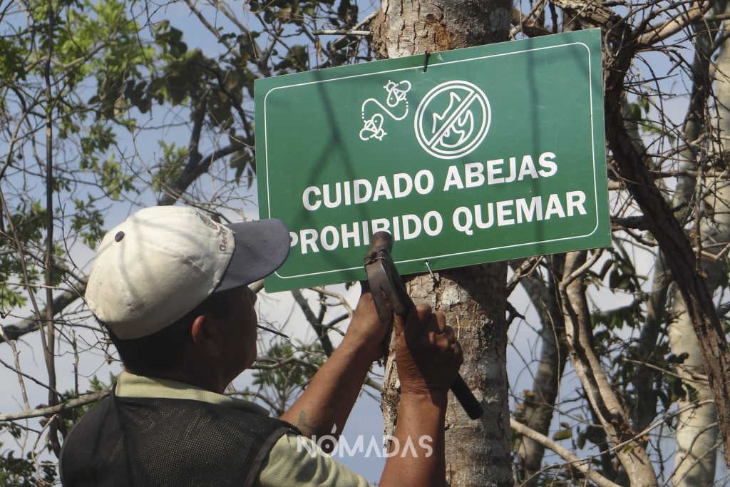 Un letrero, para que no queden dudas sobre el cuidado del bosque.